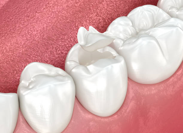 Professional Dental Services in Cudahy, WI